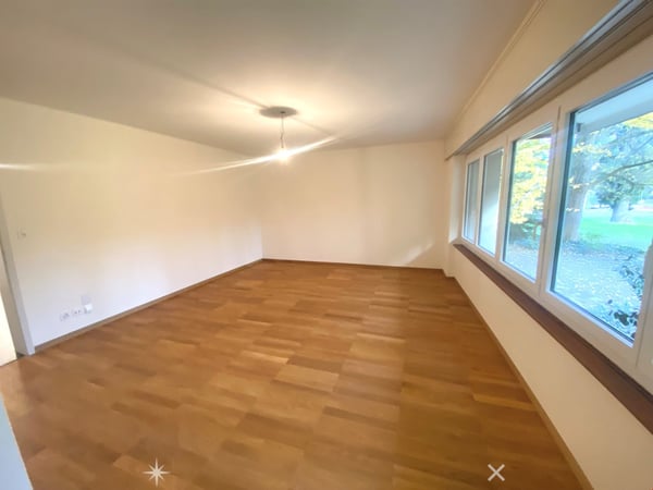Grosse 3-Zimmer-Loftwohnung mit Sicht in den Stadtpark 3