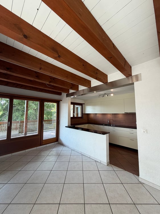Charmant appartement en attique avec grande terrasse privée 4