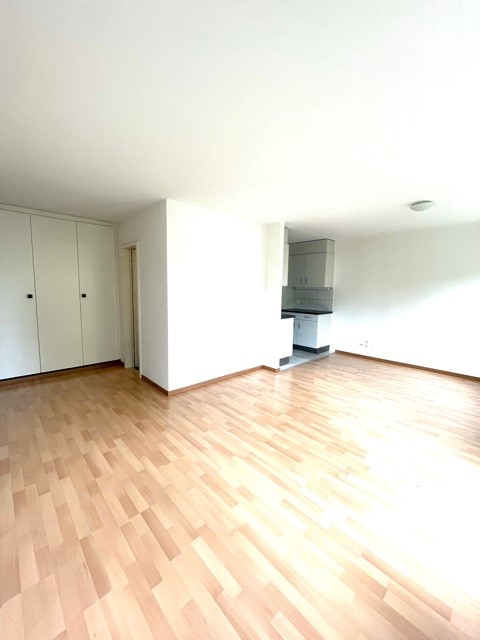 3-Zimmerwohnung in Aegerten 3