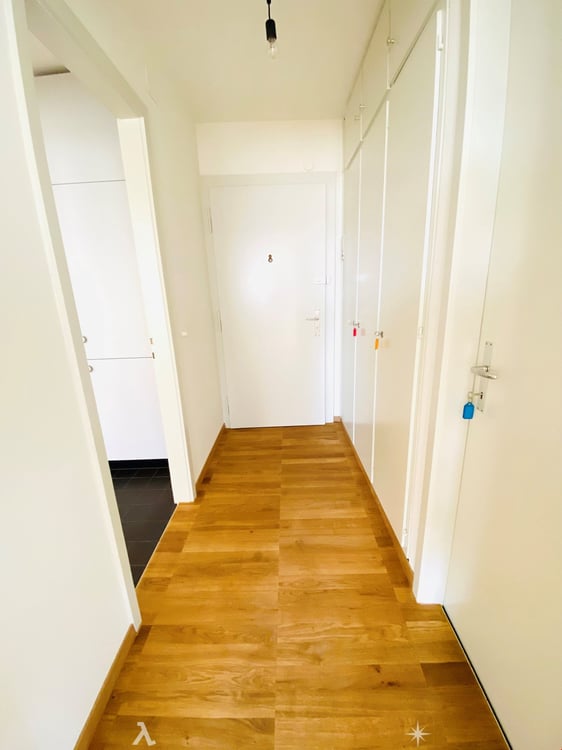 Komplett sanierte 2.5-Zwg mit atemberaubender Aussicht 4