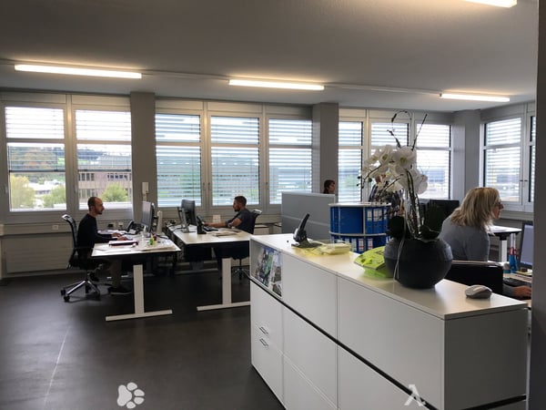 Büro/Gewerberäumlichkeiten 3.OG 160m2 3