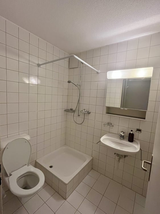 Charmante 4.5-Zimmerwohnung nahe Zihl zum Mieten 10