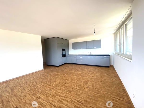 Neu erstellte Attikawohnung mit atemberaubender Aussicht 1