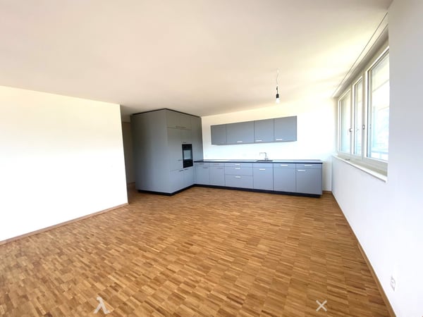 Neu erstellte Attikawohnung mit atemberaubender Aussicht 1