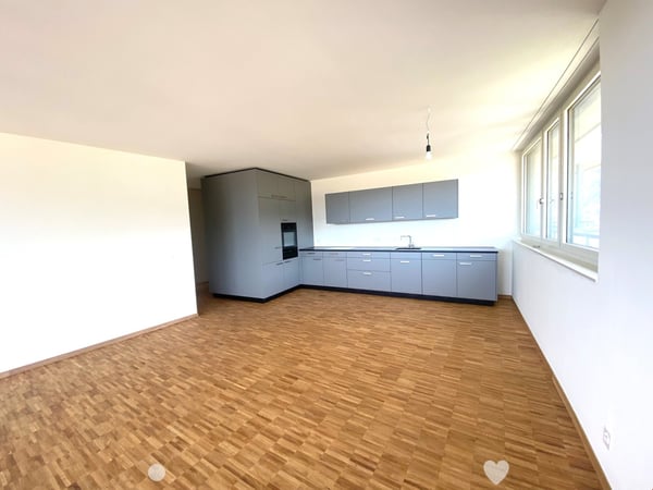 Neu erstellte Attikawohnung mit atemberaubender Aussicht