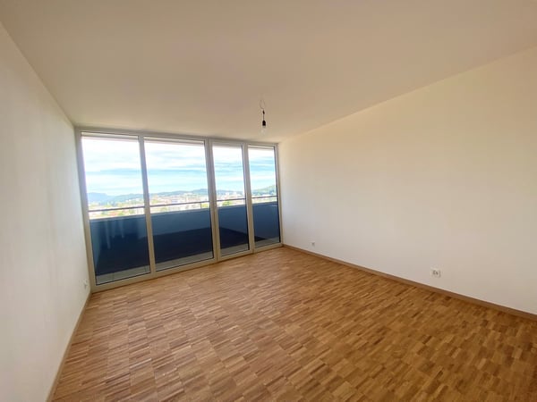 Neu erstellte Attikawohnung mit atemberaubender Aussicht 2