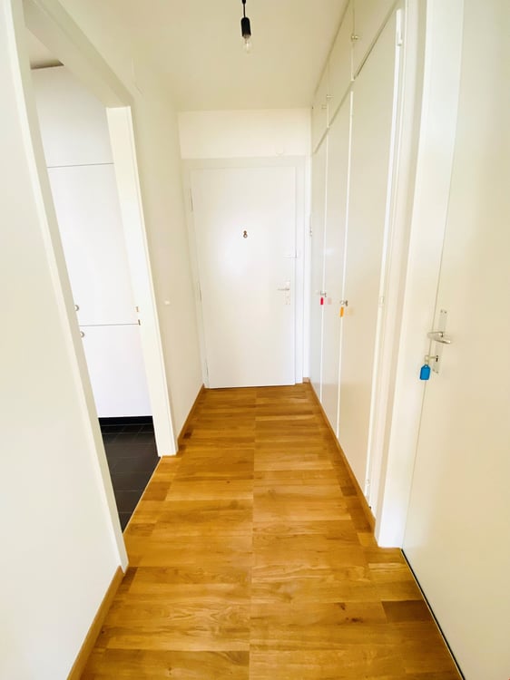 Komplett sanierte 2.5-Zwg mit atemberaubender Aussicht 4