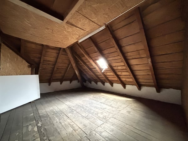 Grosszügige Loft mit separatem Schlafzimmer 10