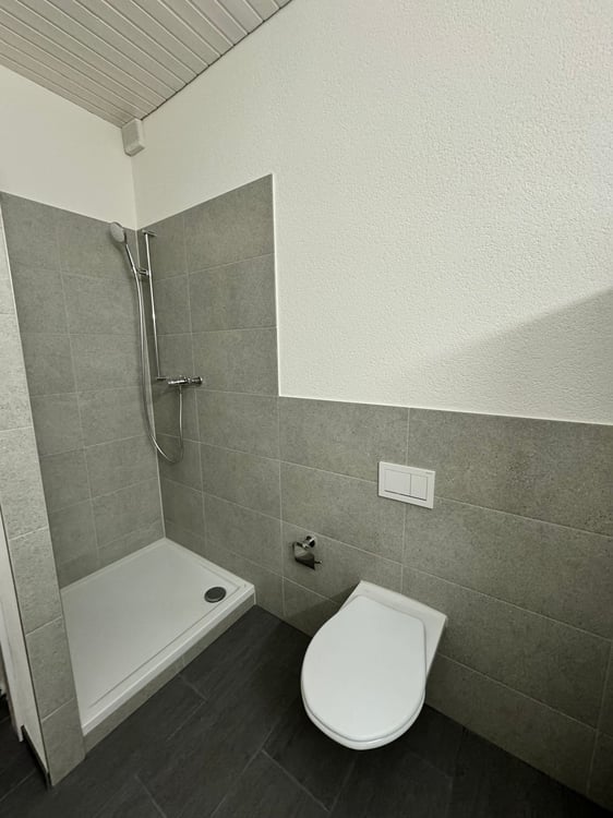 Renovierte 4.5-Zimmer-Duplex-Dachwohnung an zentraler Lage 9