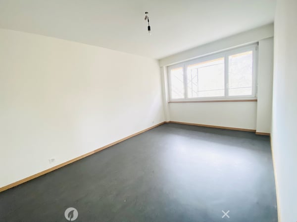 Komplett sanierte 2.5-Zwg mit atemberaubender Aussicht 6