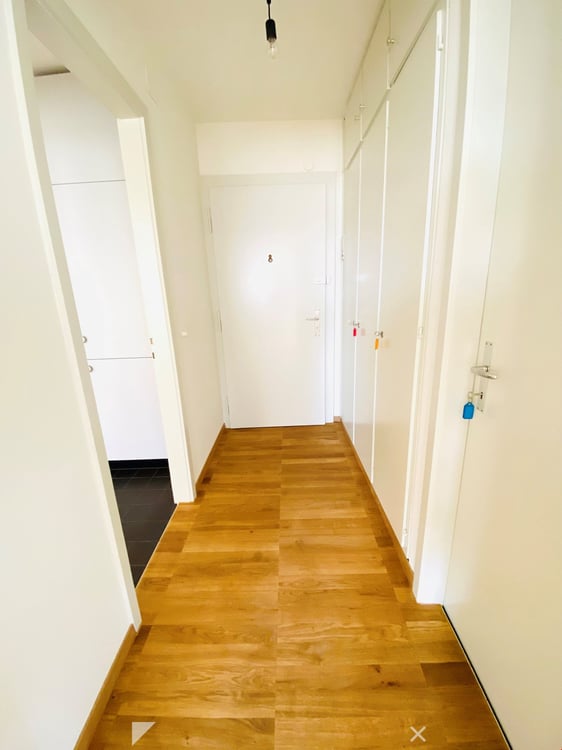 Komplett sanierte 2.5-Zwg mit atemberaubender Aussicht 4