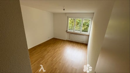 Helle 2.5-Zimmer-Wohnung im Erdgeschoss mit Gartensitzplatz 4
