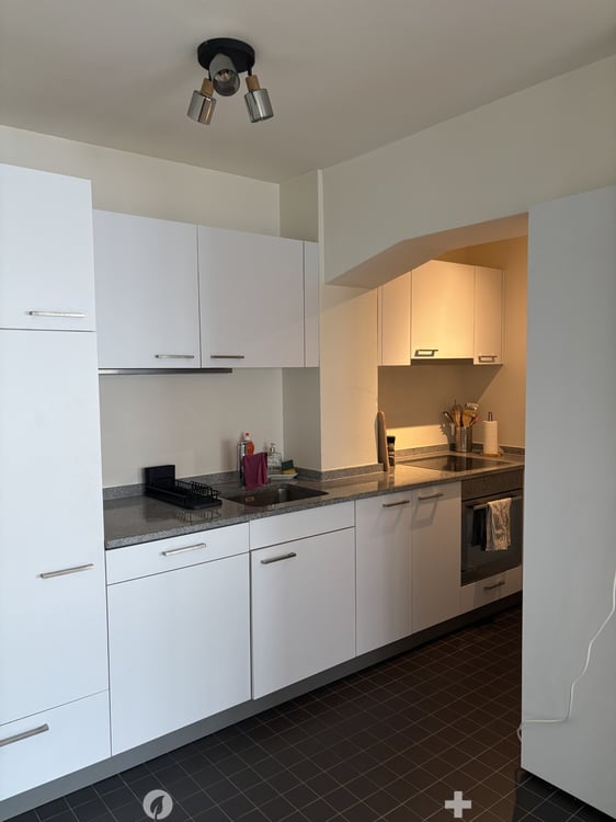 Helle 3-Zimmer-Loft an der Kontrollstrasse in Biel 5