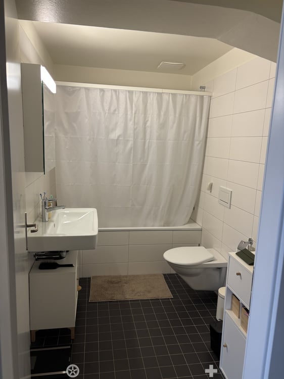 Helle 3-Zimmer-Loft an der Kontrollstrasse in Biel 6