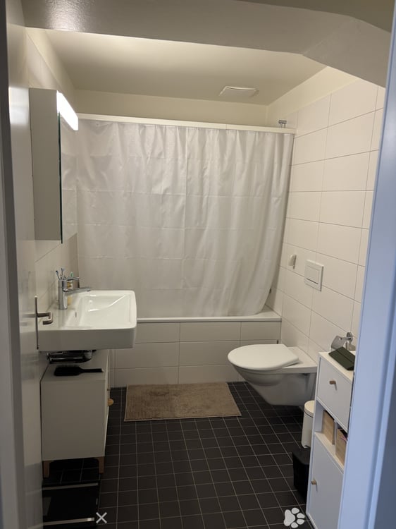 Helle 2-Zimmer-Loft an der Kontrollstrasse in Biel 6