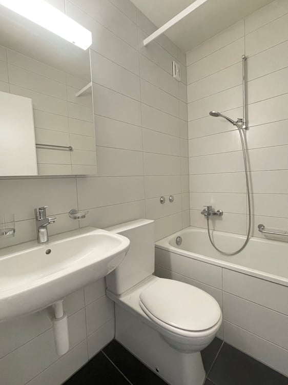Schöne 1.5-Zimmerwohnung im Stadtzentrum 1