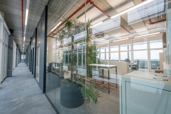 Bürofläche (Zwischengeschoss) 1