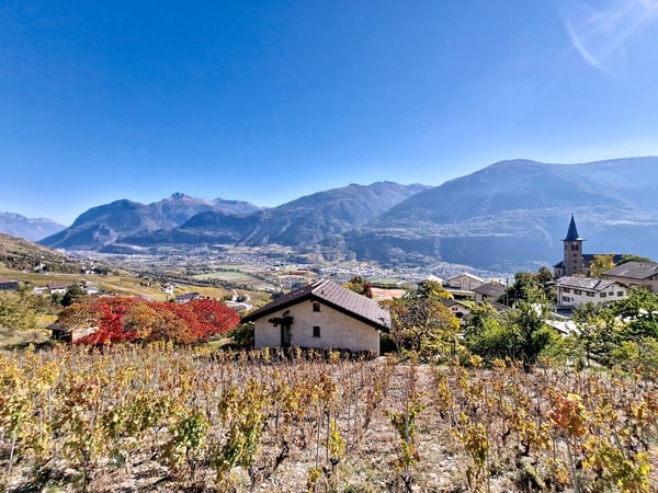 Flanthey – Charmante villa 1.5 pièces avec terrasse, pelouse et garage double 2