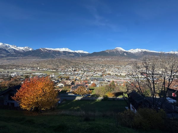 Sion/Salins, charmant appartement de 1.5 pièces de 20m2 avec terrasse et pelouse privative de 64m2 15
