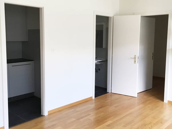 Sion, au cœur de la ville, appartement de 1 pièces 3