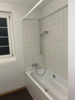 Tolle 2 1/2-Zimmerwohnung im Breitsch 8