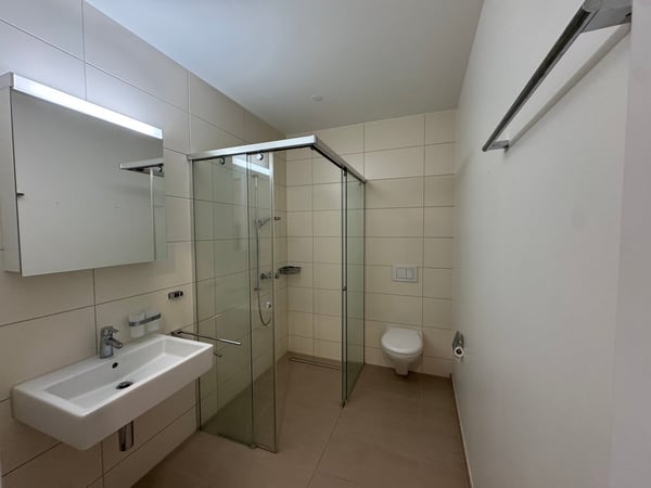 1.5-Zimmer-Wohnung 3