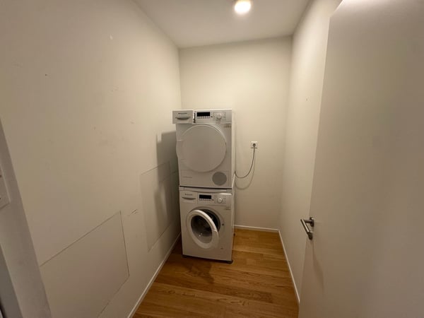 1.5-Zimmer-Wohnung 2