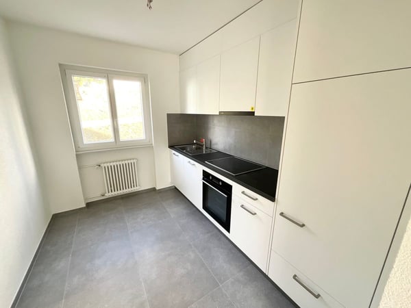 Magnifique appartement de 3 pièces refait à neuf avec balcon 1