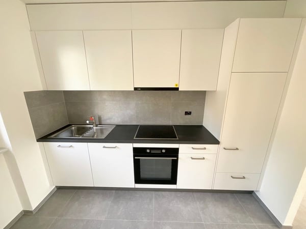 Magnifique appartement de 3 pièces refait à neuf avec balcon 2