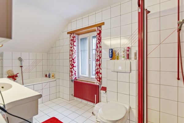 Maison contiguë en pignon avec surfaces professionnelles et grande terrasse 9