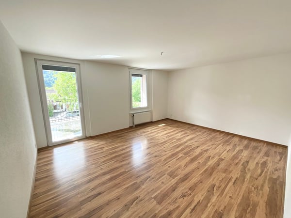 Appartement rénové de 3 pièces avec terrasse et vue dégagée 3