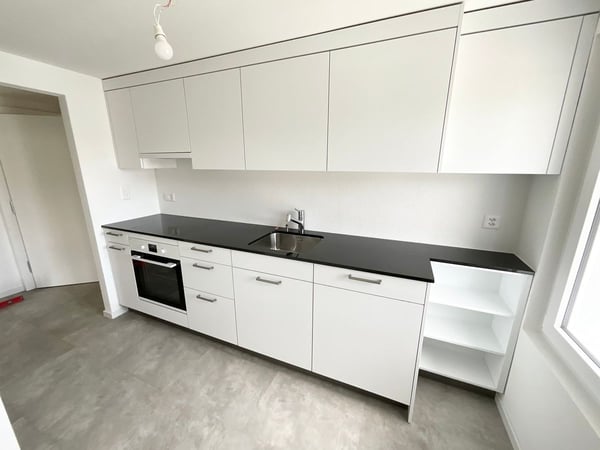 Appartement de 3 pièces neuf avec grande terrasse 2