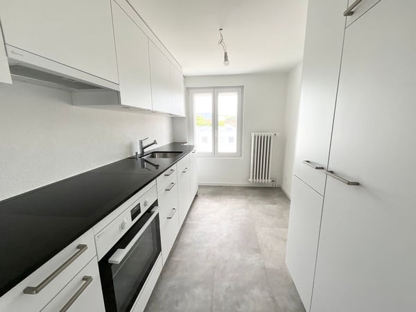 Appartement de 3 pièces neuf avec grande terrasse