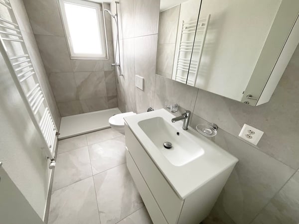 Appartement rénové de 3 pièces avec terrasse privée 5