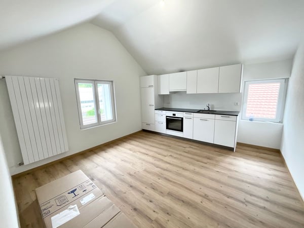 Charmant appartement de 3.5 pièces neuf avec grande terrasse 2