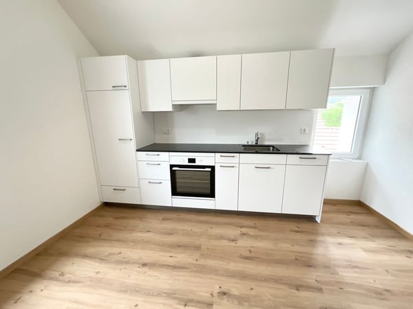 Charmant appartement de 3.5 pièces neuf avec grande terrasse 1