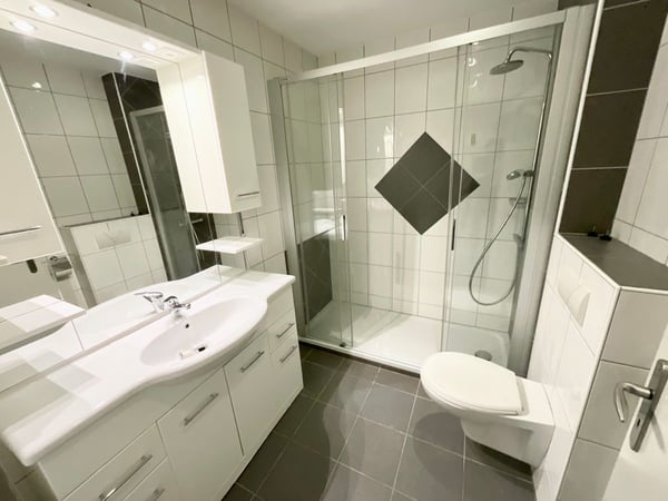 Appartement lumineux de 2 pièces au centre du village 6
