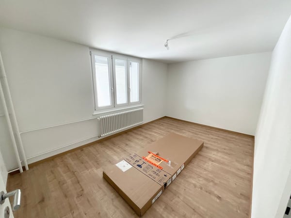 Appartement rénové de 2 pièces avec terrasse privée 5