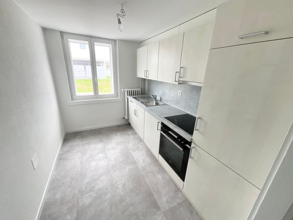 Appartement rénové de 2 pièces avec terrasse privée 2
