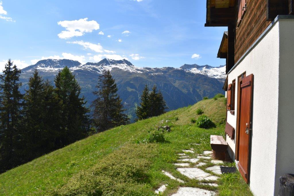 A wooden chalet situated on a grassy hillside with a stunning view of snow-capped mountains in the background. The chalet has wooden shutters and is surrounded by pine trees.