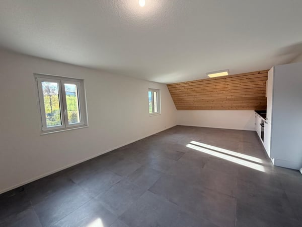 Magnifique appartement en duplex de 1.5 pièces au 2e étage 5