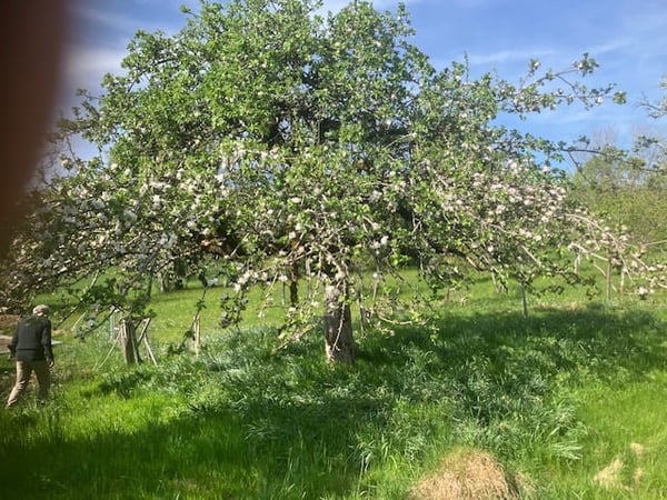 Ancienne ferme de 8 pièces à rénover située en campagne 10