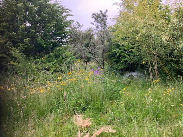 Ancienne ferme de 8 pièces à rénover située en campagne 19