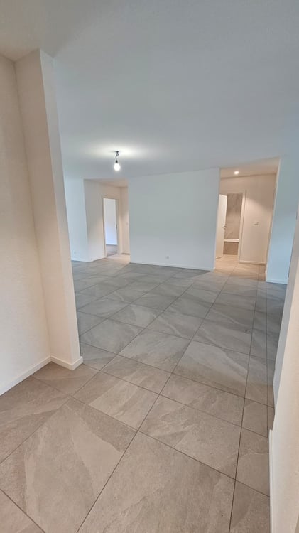 Magnifique appartement de 4.5 pièces au rez-de-chaussée 3