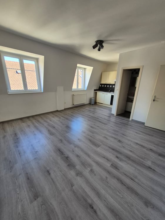 Charmant Studio de 1.5 Pièces au cœur de Delémont 2