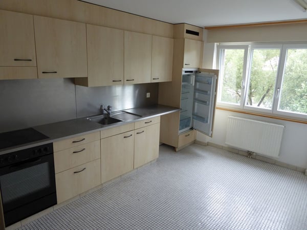 Bel et spacieux appartement de 4,5 pièces 2
