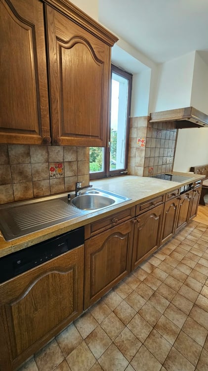 Très grand appartement de 3,5 pièces avec terrasse de 48m2 3