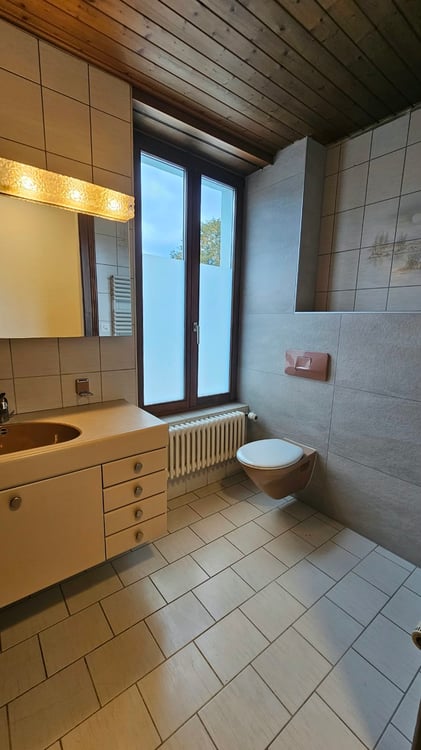Très grand appartement de 3,5 pièces avec terrasse de 48m2 13