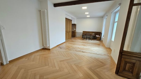Très grand appartement de 3,5 pièces avec terrasse de 48m2 7