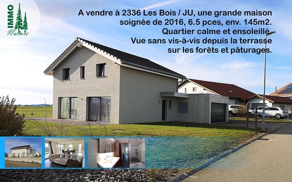 Grande maison soignée de 2016, 1.5pces, garage double, terrasse, vue 1